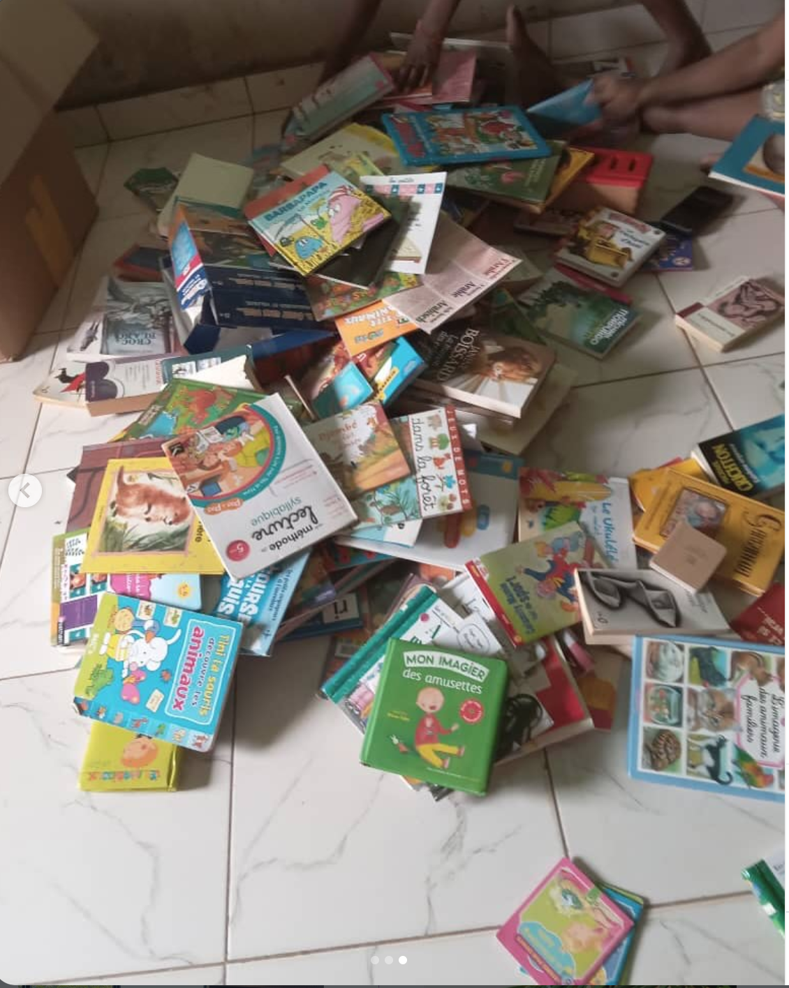 Distribution de livres au Bénin